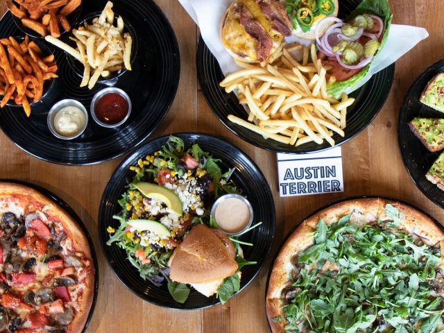 Austin Terrier (Greystone Dr)