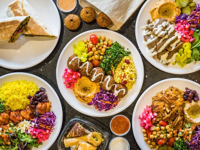 IDOF - I Dream Of Falafel (Monroe)