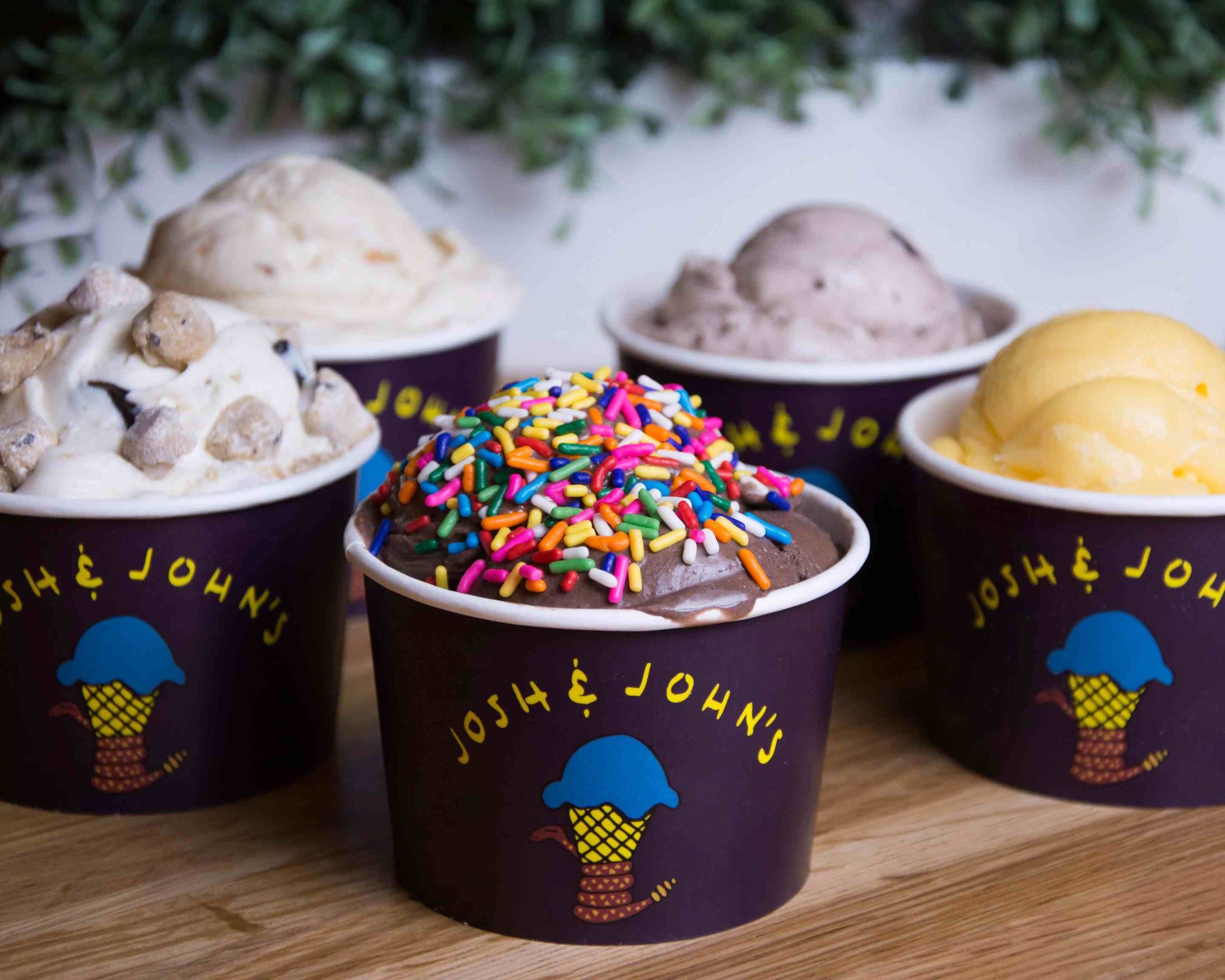 Josh & Johns Naturally Homemade Ice Creams