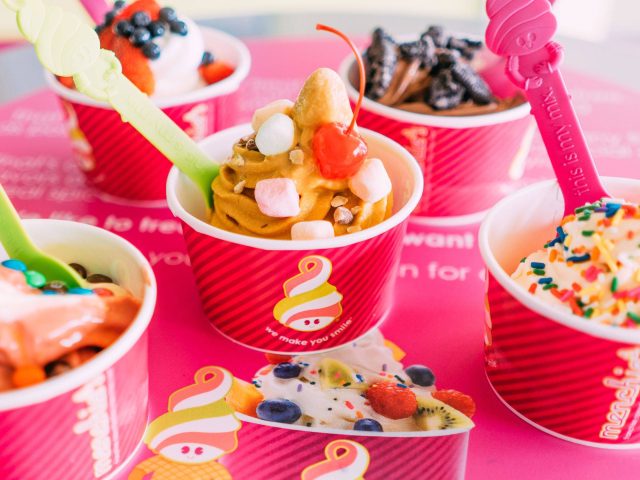 Menchie's Frozen Yogurt (8302 Northfield Blvd)