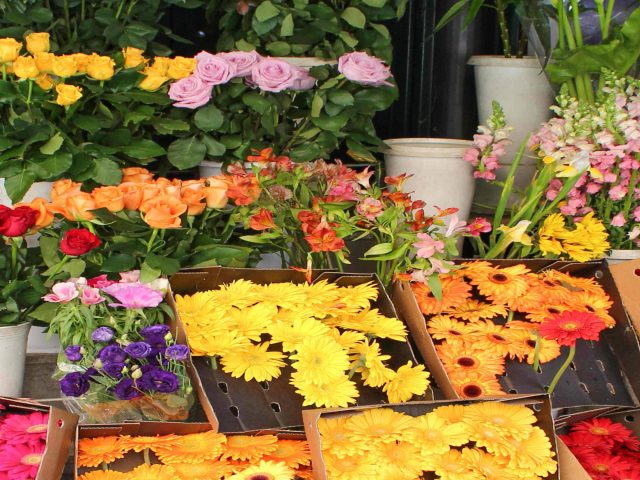 Woodstock Flowers & Gifts