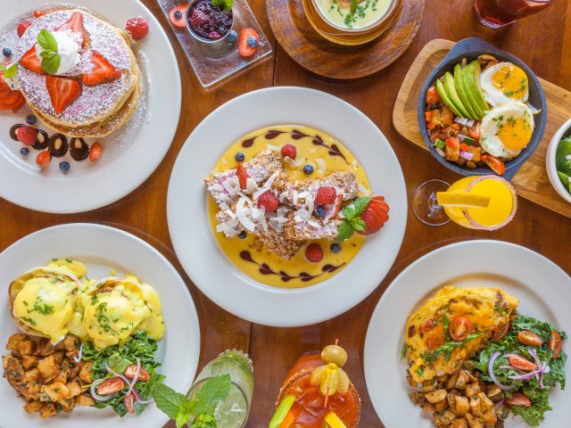 Mr. Benedict & Miss Mimosa