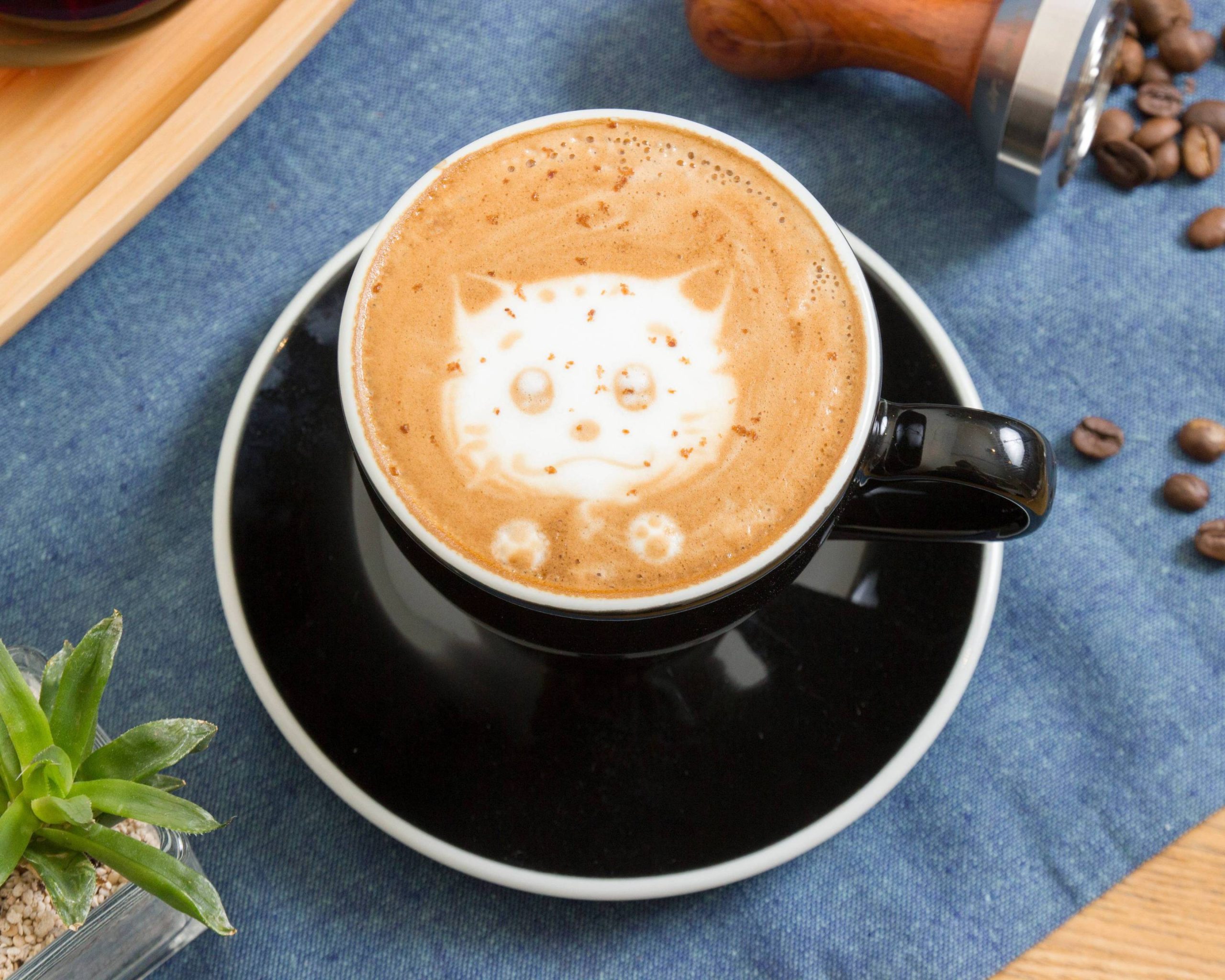 Villa Myriam Coffee Company