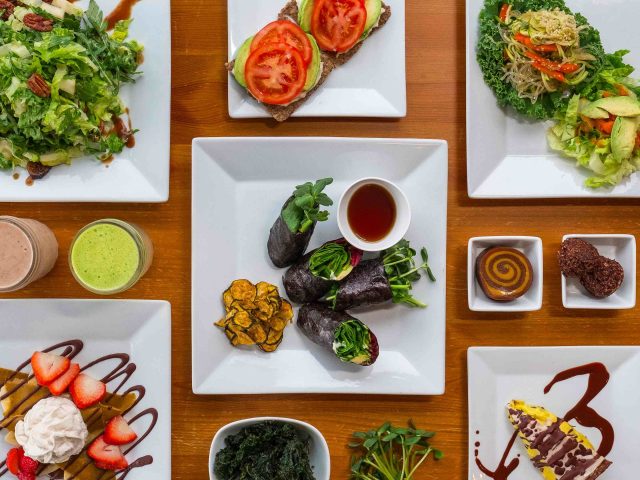 Catch a Healthy Habit