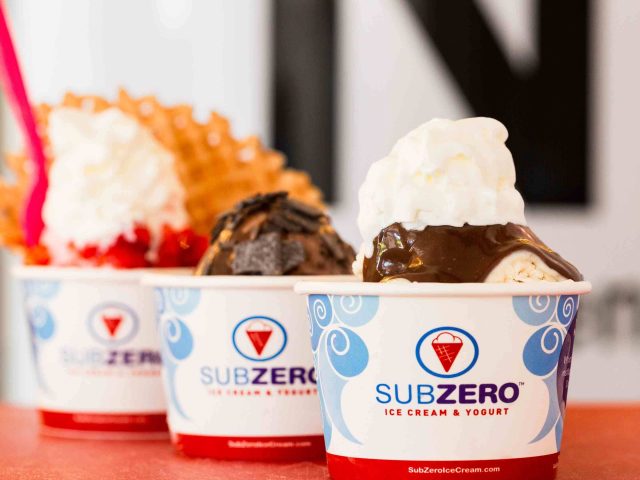 Sub Zero Ice Cream & Yogurt (55 S Valle Verde Dr #220)