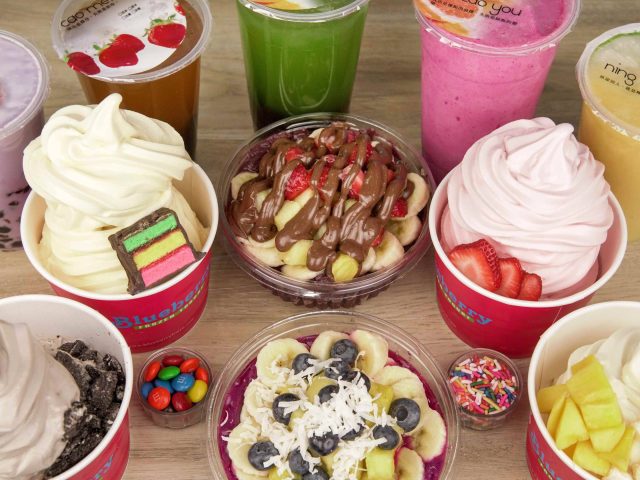 Blueberry Frozen Yogurt