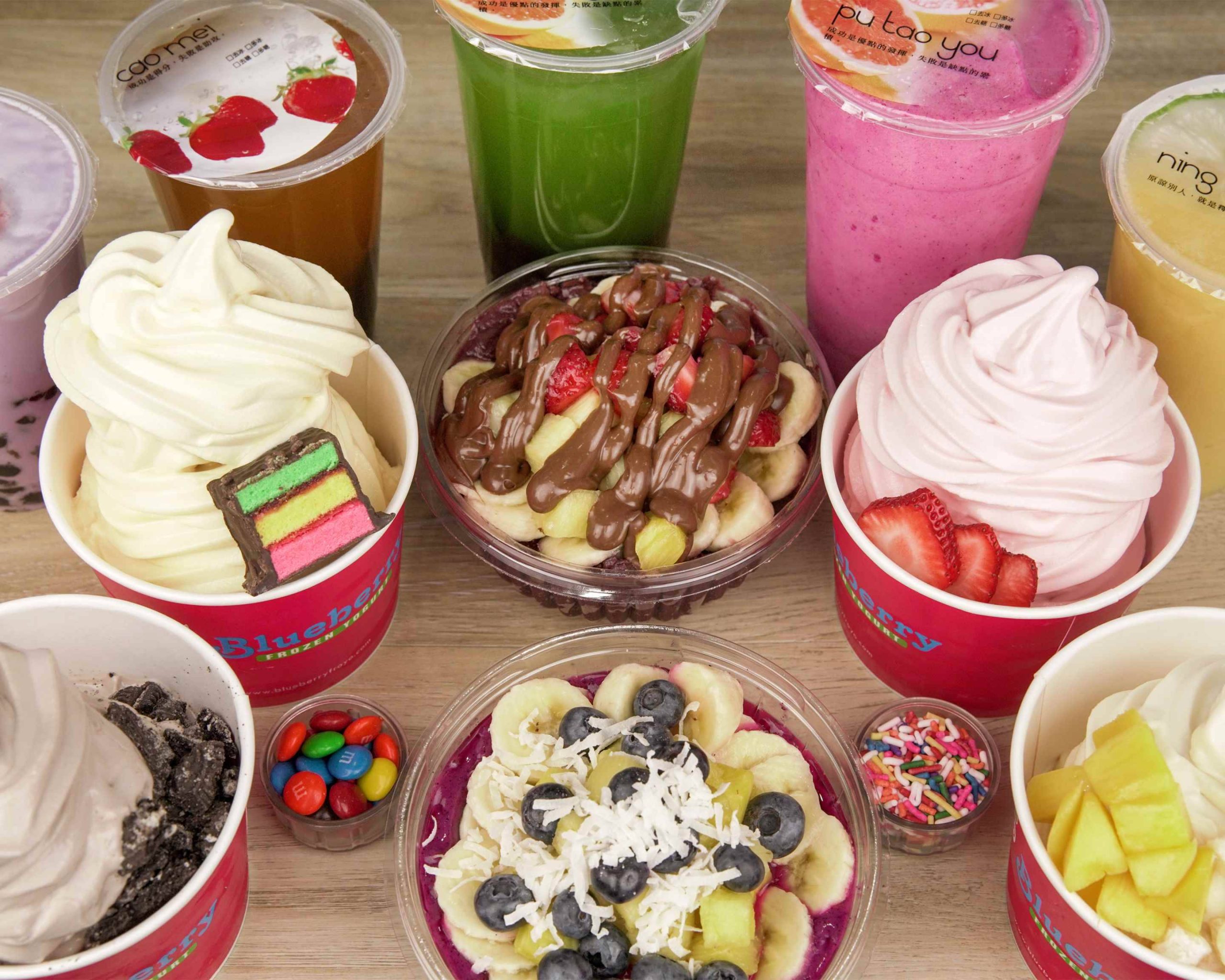 Blueberry Frozen Yogurt