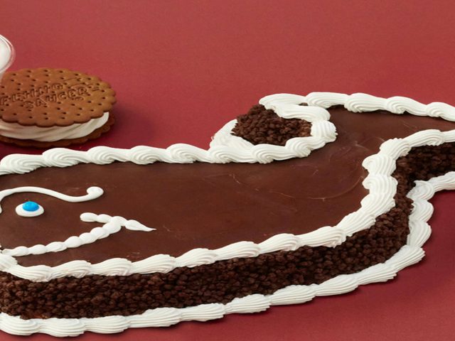 Carvel 265-15 Hillside Avenue, Glen Oaks, NY 11004, USA