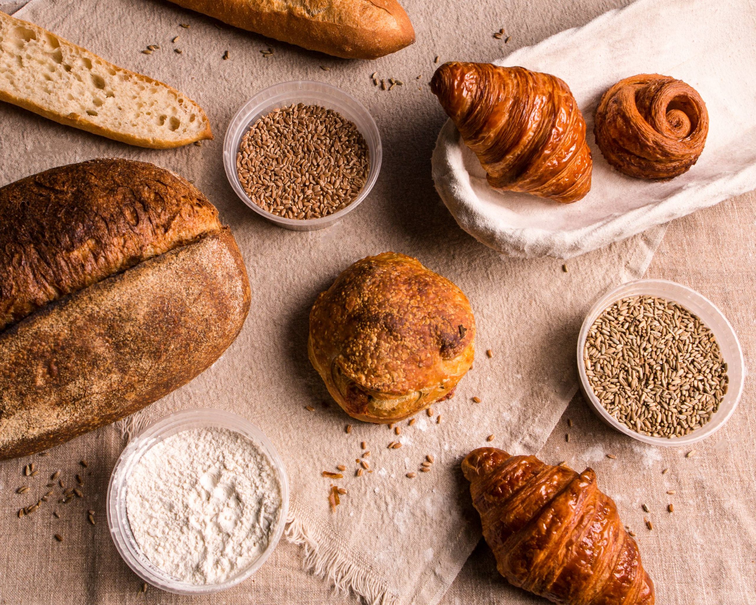 Avalon International Breads