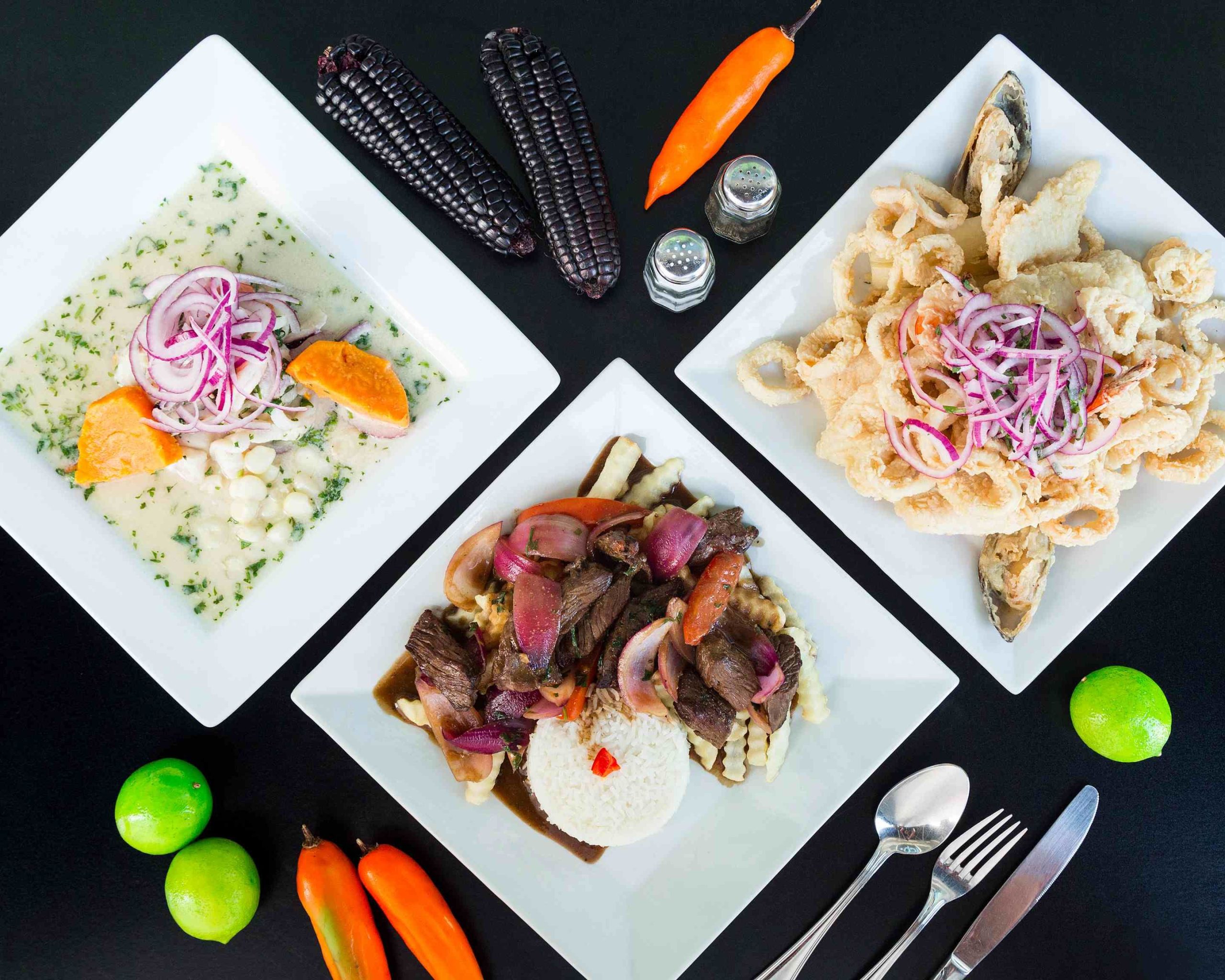 Mr. Ceviche Peruvian Restaurant