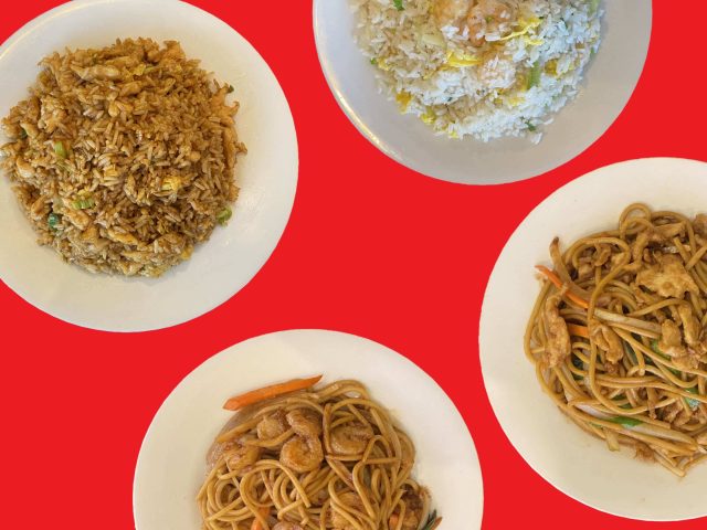 The Flying Dumpling (University of Houston Campus)