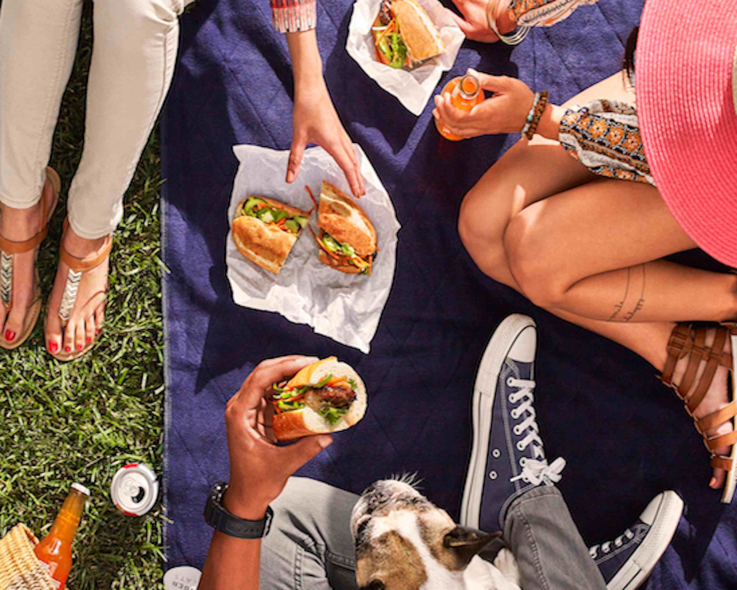 Steve's Snappin' Dogs