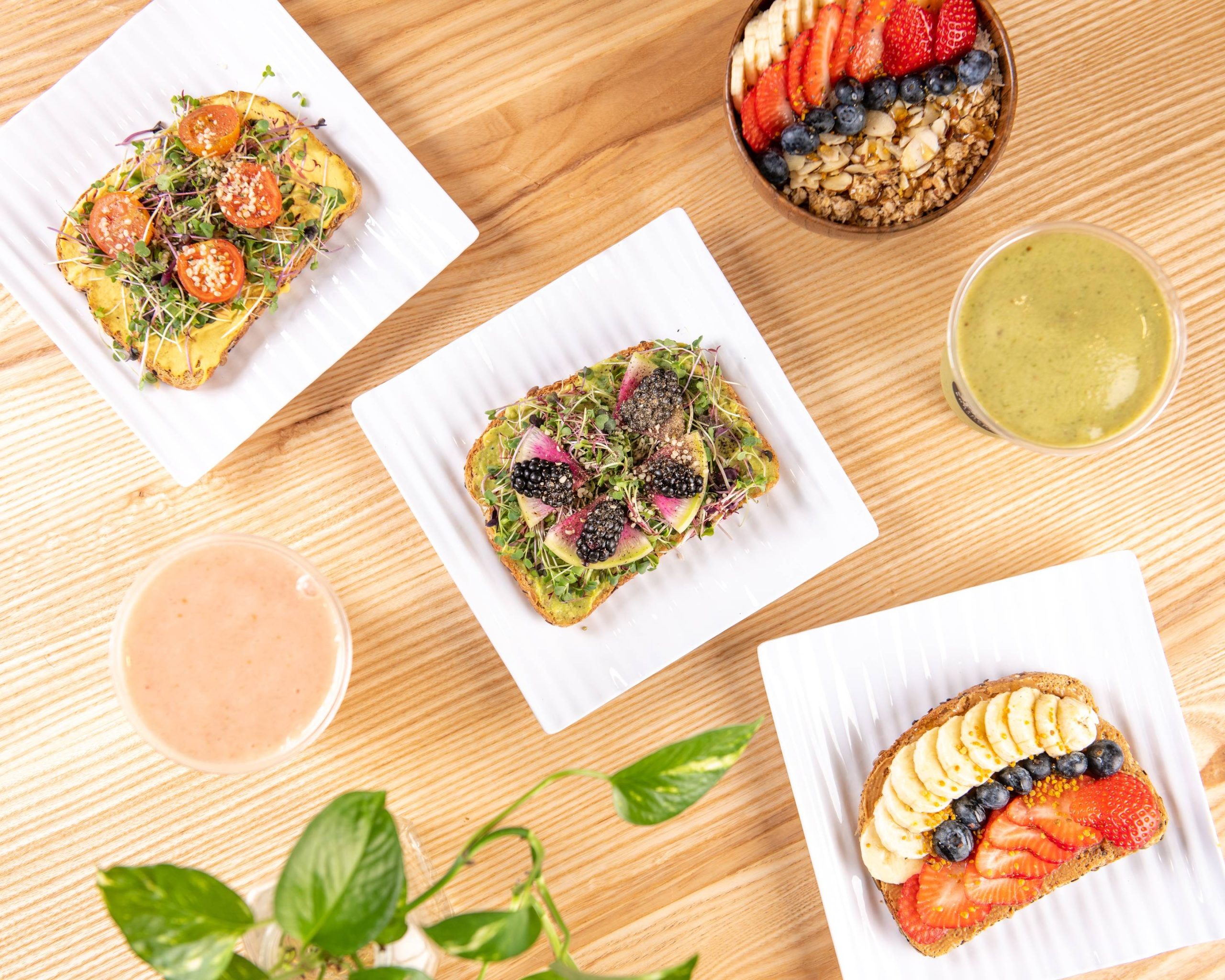 Earthcraft Juicery - West Gray